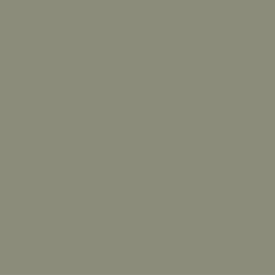 SAGE GreenSheen Paint